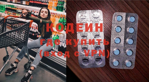 СК Няндома