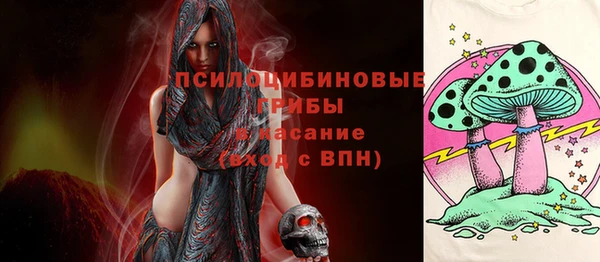 СК Няндома