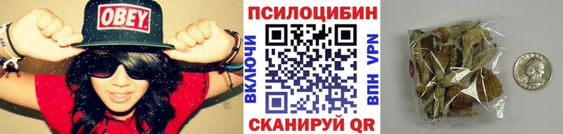 Купить где Клинцы Псилоцибиновые грибы MAGIC MUSHROOMS
